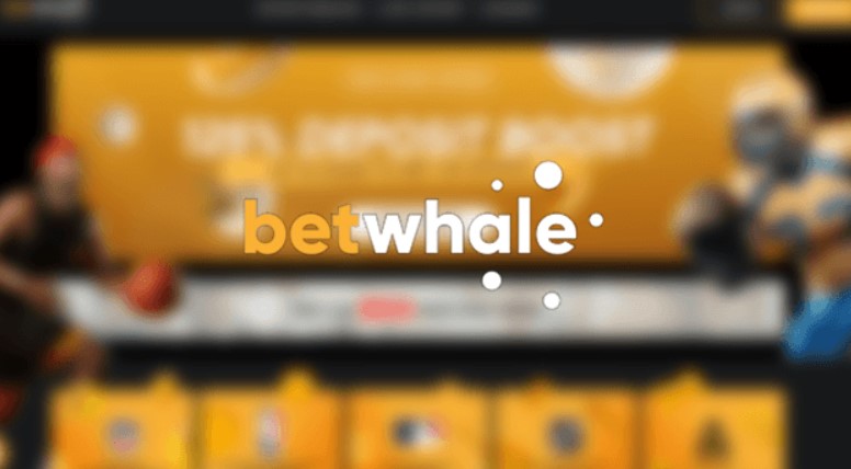 Betwhale banking methods review 1