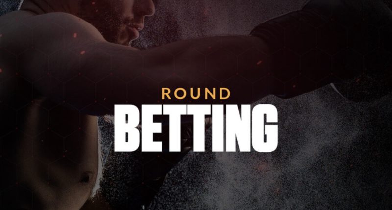 MMA betting - bet on the biggest fights at Sportsbook Betwhale 2