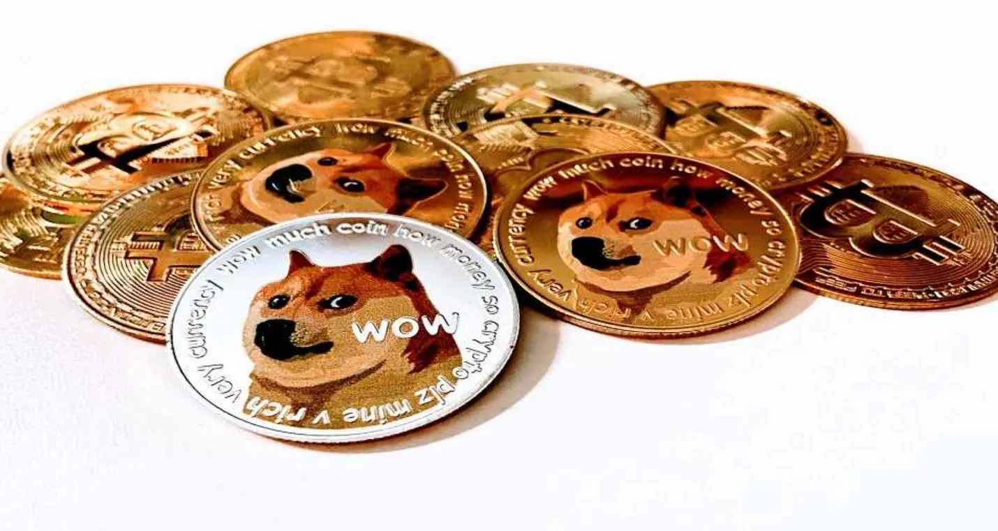 Best Dogecoin Casino & Gambling Platforms in 2025 2