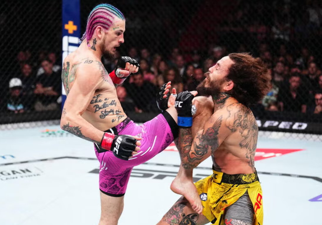 UFC Events Weekly Fights & Championship Showdowns 3