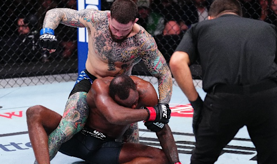 UFC Fight Night Predictions 2025 Picks